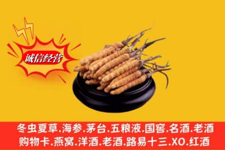 冷水江市求购回收虫草多少钱每克